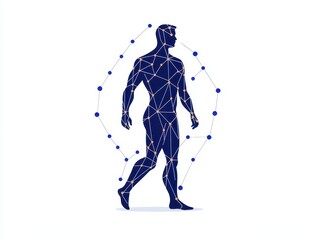 Human anatomy graphic, walking