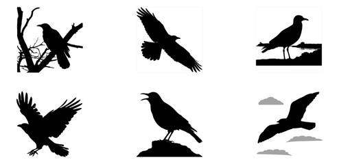 Obraz premium Majestic Black Bird Silhouette Poses - Artistic Collection.