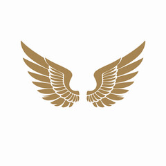 Fototapeta premium Golden wings spread wide on white background