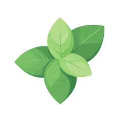 Simple flat 2D icon green mint isolated on a white background, vector, flat design, animation design, vector, flat design, animation design, flat 2D icon, minimalist and modern design	