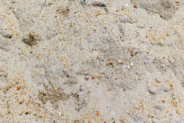 Close-up of sandy beach surface with small pebbles and shells