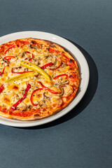 Tasty pizza on gray background, top view. Space for text