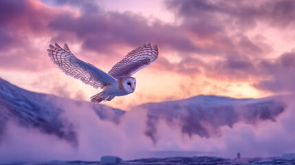 Fototapeta premium Snowy owl sunset flight, mountains, winter