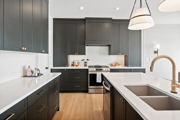 Kitchen with black cabinets and a white countertop