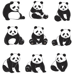 Naklejka premium panda, animal, vector, transparent background, various types