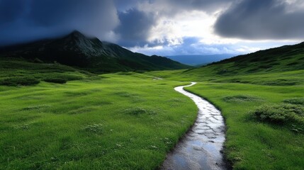 Fototapeta premium Mountain Meadow Path