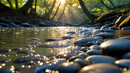 Fototapeta premium River Flowing Over Rocks with Sun Rays Shining Through Trees