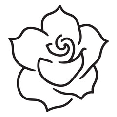 hand drawn vector illustration of a rose
