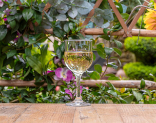 Glass of wine a natural setting with a softly blurred background.