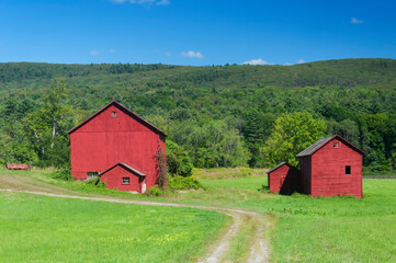 Obraz premium red barns on a new england farm in massachusetts