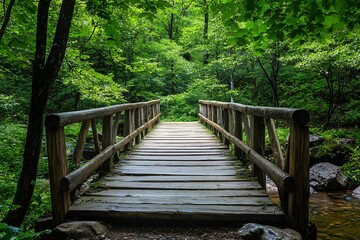 Wooden Bridge Spanning Through Green Lush Forest Under Soft Sunlight