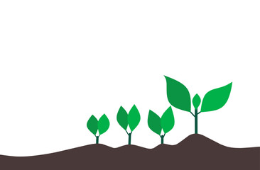Illustration of a plant growing in stages,  from a small sprout to a mature plant. The image depicts the concept of growth, development, and the life cycle of a plant. Perfect for ARBOR DAY background