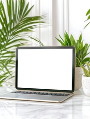 Laptop, Plants, Workspace, White