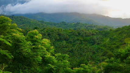 Fototapeta premium Mountain landscape with clouds. Cloudiness in the mountains. View of the mountains of a tropical island covered with jungle and shrouded in clouds. View of wild jungle deep in a tropical rainforest.