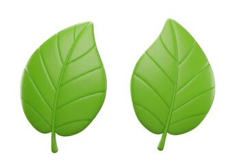 Green leaf plant illustration isolated on white background