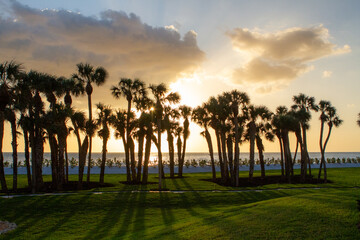 Sunsets Over Beaches, Palm Trees and Oceans
