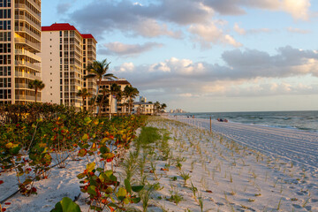 Sunsets Over Beaches, Palm Trees and Oceans