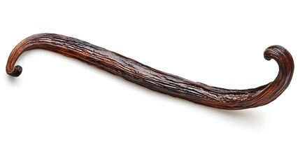 Long Curved Dark Brown Vanilla Bean Isolated on White Background