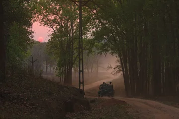 Fototapeten Bambus A safari vehicle with the tourists moving on the dirt track of Kanha National Park (India)  © Sandipan