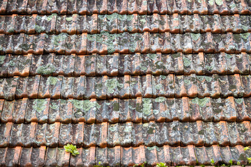 Terracotta Rhythms of Madeira Rooftops – A Glimpse into Traditional Architecture