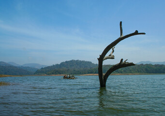 Fototapeta premium Bamboo Rafting in the beautiful Periyar Lake located inside Periyar National Park (Kerala). This is an eco tourism initiative wherein tourists explore the national park in bamboo rafts.
