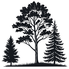 Obraz premium A vector set features black tree silhouettes and outlines, including oak and pine, representing nature through seasonal shapes and branch art