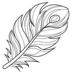 Obraz premium Elegant Feather Quill Pen Drawing