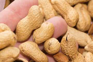 mixture of nuts of different varieties and sizes