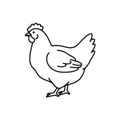 vector illustration of a chicken
