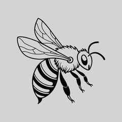 Down head of bee