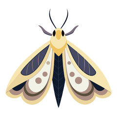 butterfly vector illustration
