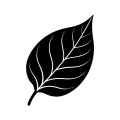 betel-leaf-vector-silhouette illustration