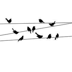 Flock of Birds on Wire. Birds on Power Line Silhouette. Sparrow and Bullfinch. Silhouette Vector Illustration 
