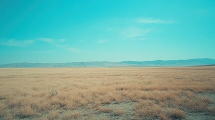 Expansive field of dry grass stretches under a bright sky