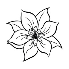 Detailed Flower Illustration Decorative Floral Design Isolated On White Background Botanical Art