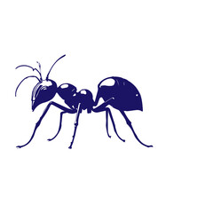 navy blue Ant icon