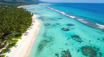 Tropical Beach Paradise - Photo