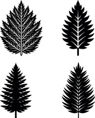 pine-leaf-vector-silhouette illustration