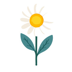 A Very Simple flat 2D icon chamomile isolated on a white background, vector, flat design, vector, animation design, simple flat 2D icon, minimalist and modern design, 2D design