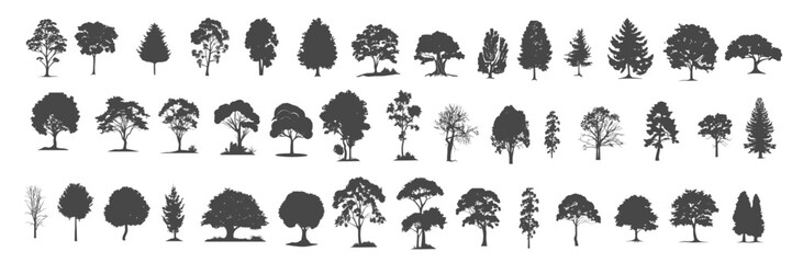 Set of trees simple and realistic black fill branch and twig plant forest SVG. illustration.