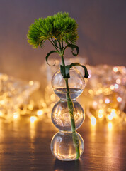 花瓶に飾られた緑の花