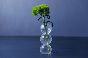 花瓶に飾られた緑の花