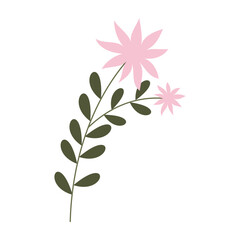 Minimal flat illustrations of leaves and simple flowers on white background