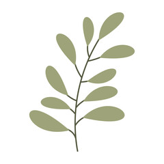 Collection of flat botanical illustrations featuring leaves and small flowers