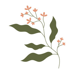 Collection of flat botanical illustrations featuring leaves and small flowers