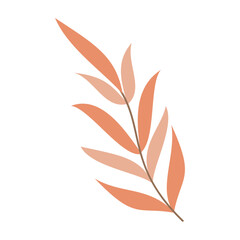 Collection of flat botanical illustrations featuring leaves and small flowers