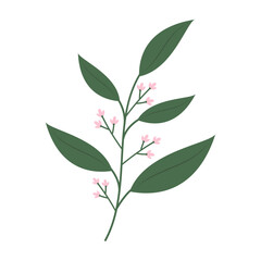 Flat floral and leaf vector set with soft colors and simple shapes