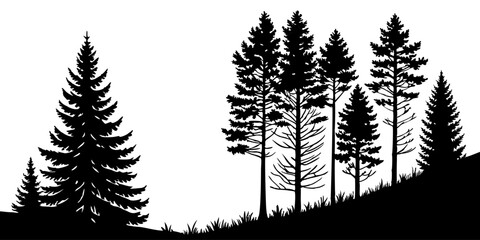 Fir trees silhouette line art illustration