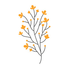 Set of flat botanical elements with colorful flowers, berries, and leaves