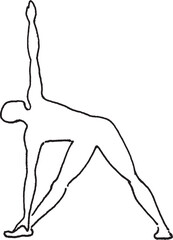 yoga-pose-Triangle pose-Trikonasana-illustration
